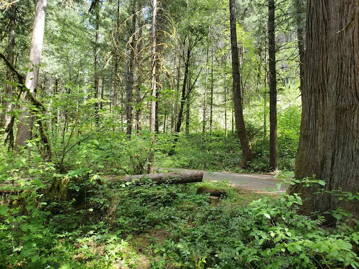 Boulder Flat Campground Picture 6