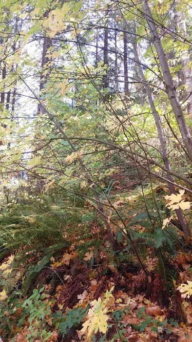 Boulder Flat Campground Picture 4