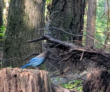 Eagle Rock Campground