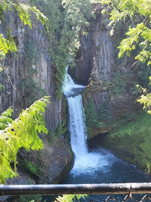 Toketee Lake Campground Picture 6