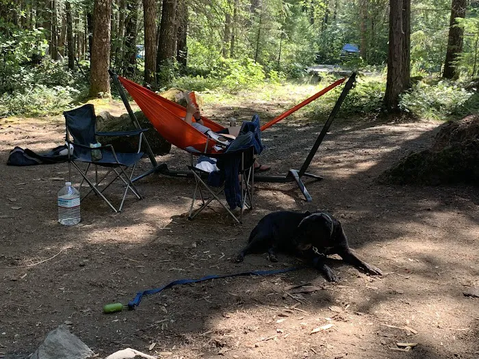 Toketee Lake Campground Picture 4