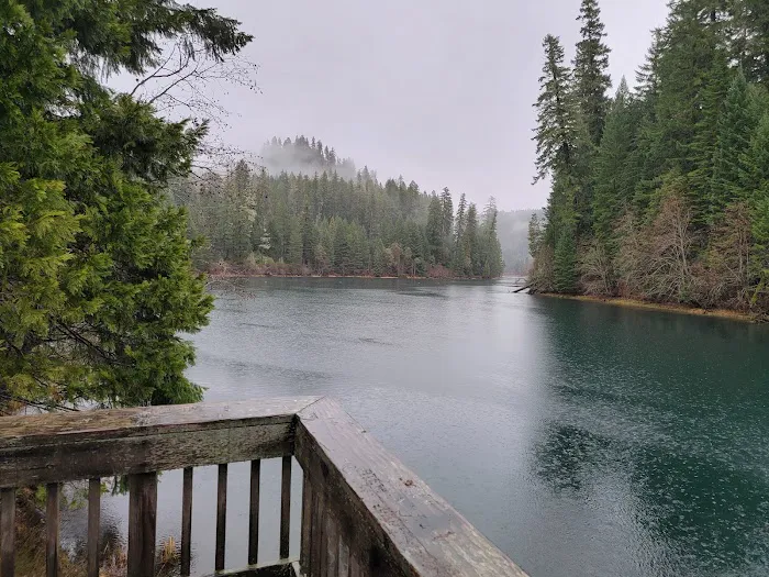 Toketee Lake Campground Picture 10