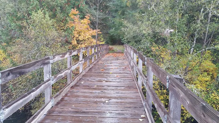 Toketee Lake Campground Picture 7