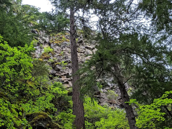 Toketee Lake Campground Picture 8