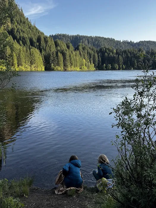 Toketee Lake Campground Picture 3