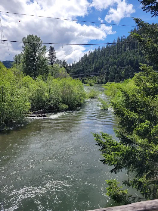 Toketee Lake Campground Picture 5