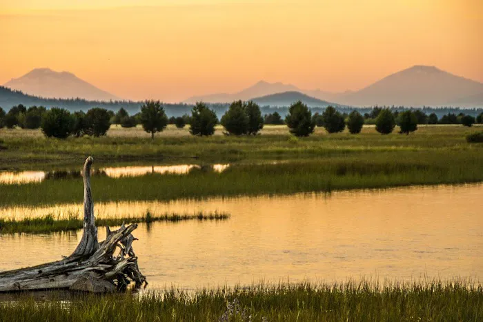 East Davis Lake Campground Picture 4