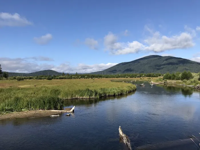 East Davis Lake Campground Picture 3
