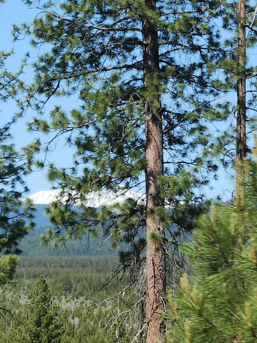 East Davis Lake Campground Picture 2