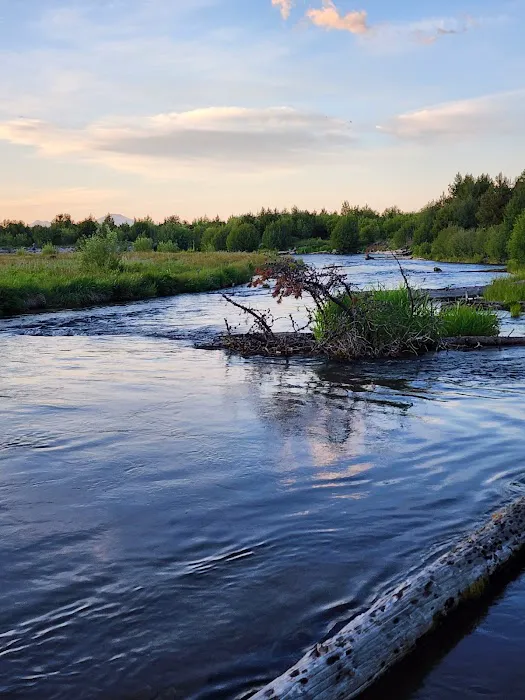East Davis Lake Campground Picture 6