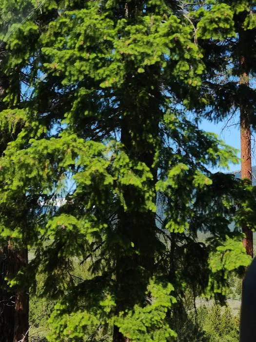 East Davis Lake Campground Picture 1