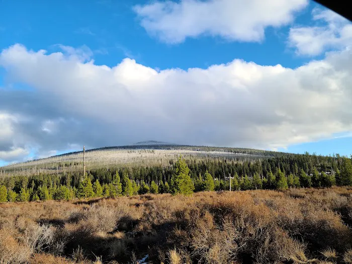 East Davis Lake Campground Picture 10
