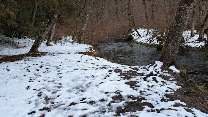 Toketee Lake Group Site Picture 1