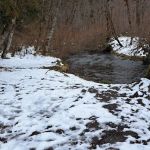 Toketee Lake Group Site