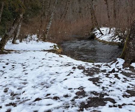 Toketee Lake Group Site