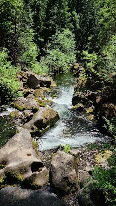 Toketee Lake Group Site Picture 8
