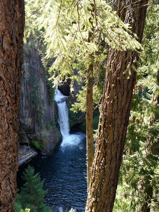 Toketee Lake Group Site Picture 10