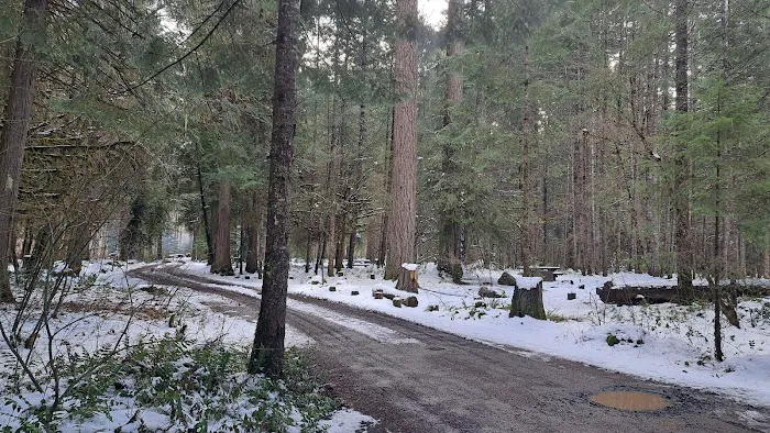 Toketee Lake Group Site Picture 2