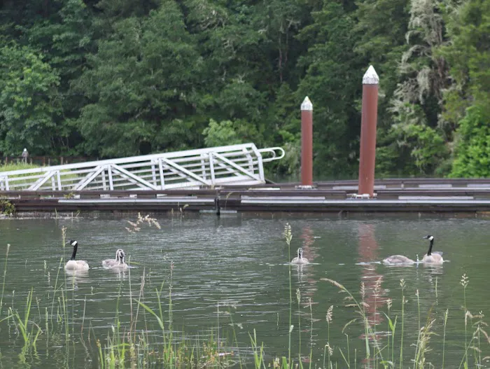 Baker Bay Campgrounds & Marina Picture 1