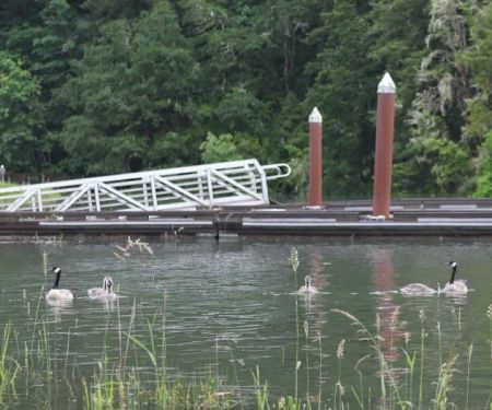 Baker Bay Campgrounds & Marina