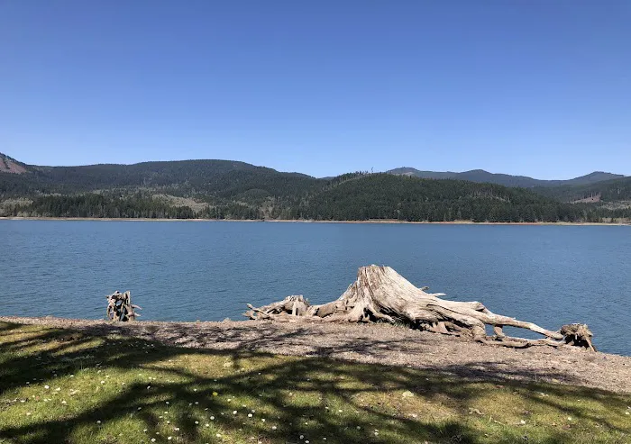 Baker Bay Campgrounds & Marina Picture 5