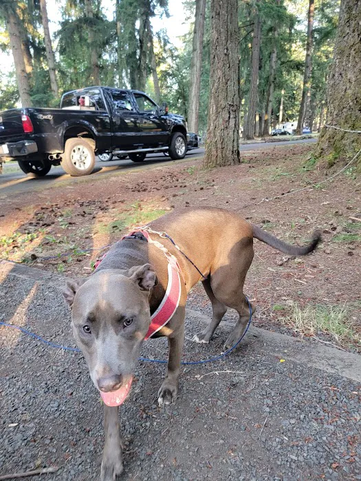 Schwarz Campground Picture 7