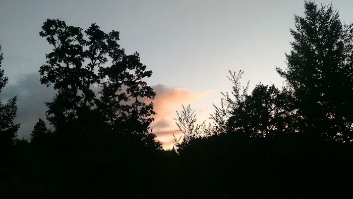 Schwarz Campground Picture 9