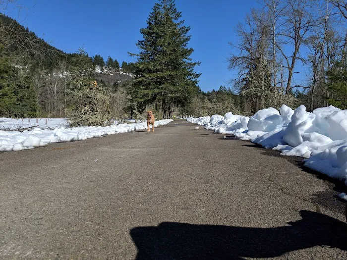 Schwarz Campground Picture 10