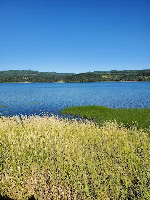 Pine Meadows Campground Picture 6