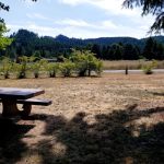 Pine Meadows Campground