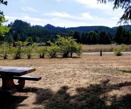 Pine Meadows Campground