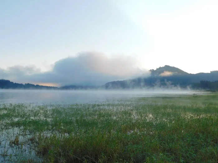 Pine Meadows Campground Picture 4