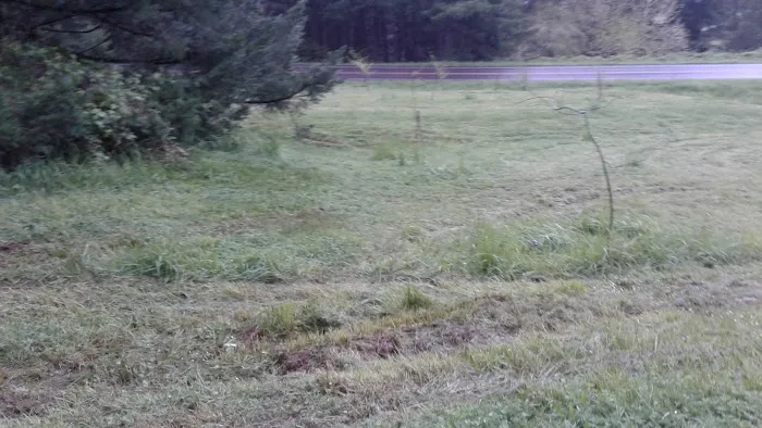 US Army Corps of Engineers Picture 2