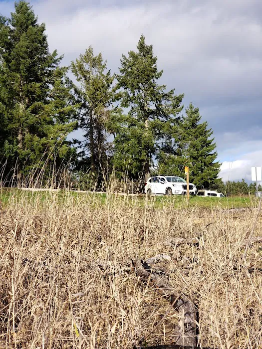 US Army Corps of Engineers Picture 3