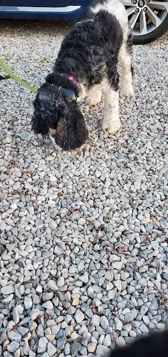 Wild Wings Marina & RV Park Picture 5