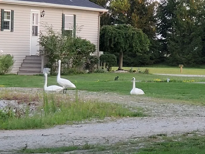 Wild Wings Marina & RV Park Picture 9