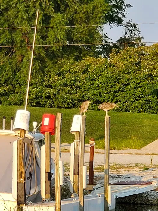 Wild Wings Marina & RV Park Picture 8