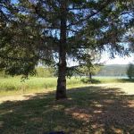 Primitive Campground