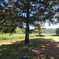 Primitive Campground ico