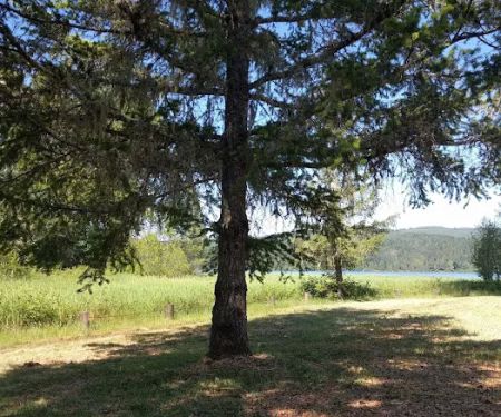 Primitive Campground