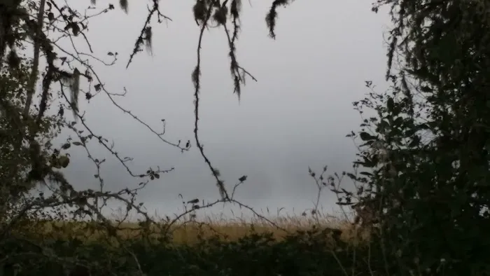 Primitive Campground Picture 8