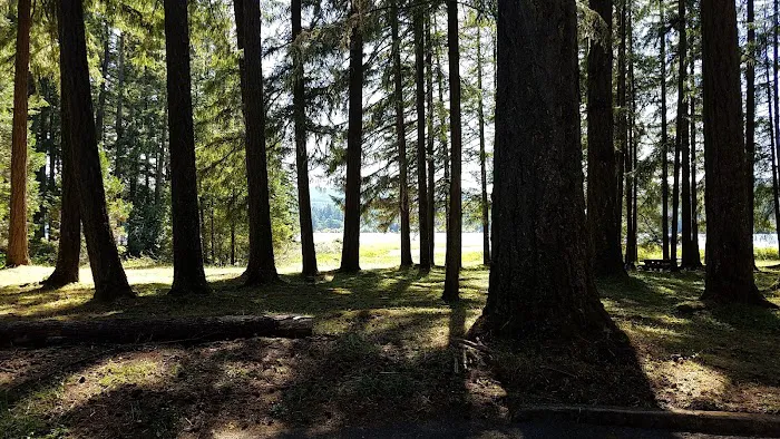 Primitive Campground Picture 9