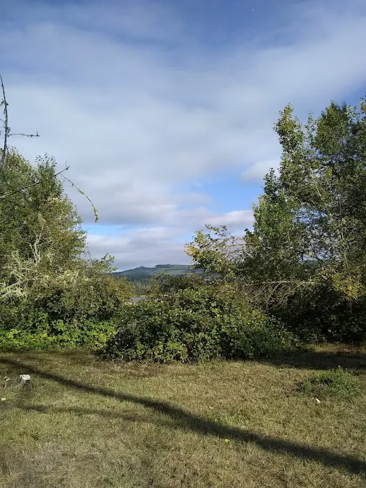 Primitive Campground Picture 6