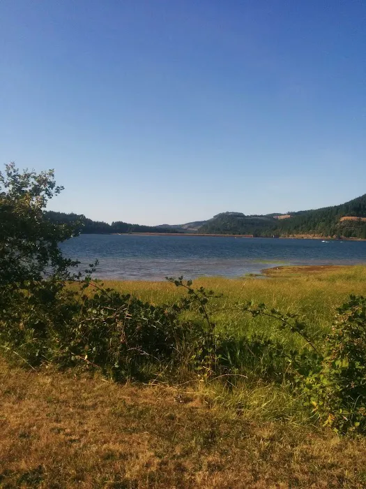 Cottage Grove RV Village Picture 2