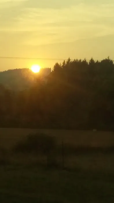 Cottage Grove RV Village Picture 7