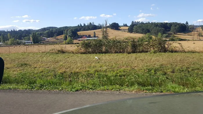 Cottage Grove RV Village Picture 5