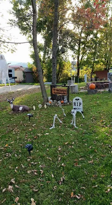 Buffalo Hills RV Resort - Family Owned Picture 3