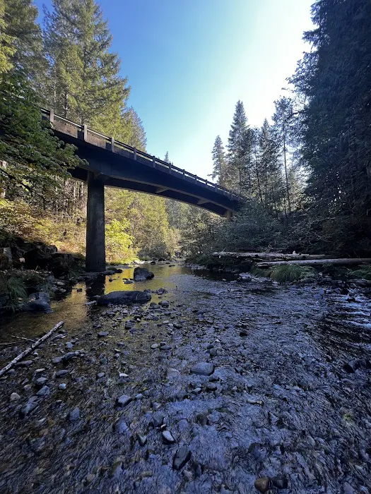 Scaredman Recreation Site Picture 6