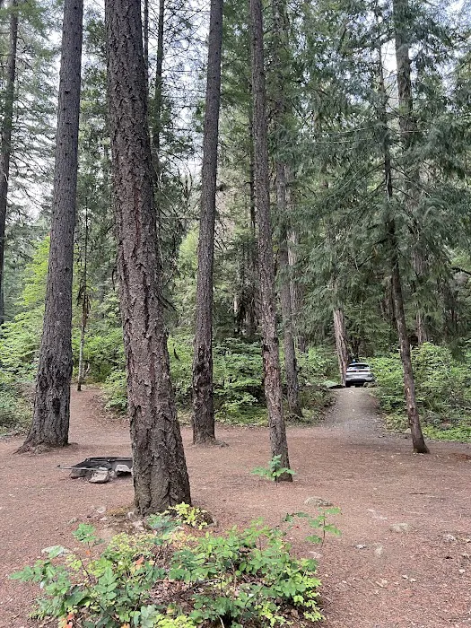 Scaredman Recreation Site Picture 4