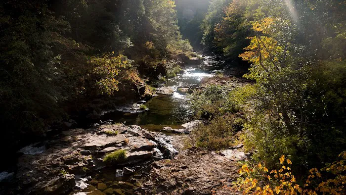 Scaredman Recreation Site Picture 10